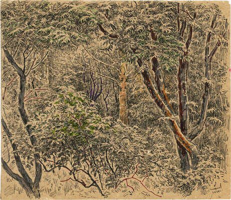 Морозов Константин Феофанович. Лесной пейзаж